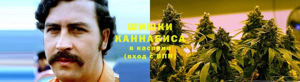 таблы Краснослободск
