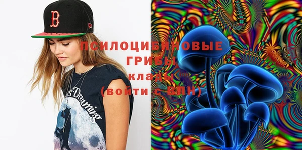 таблы Краснослободск