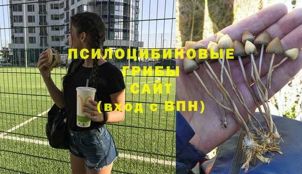 прущая мука Краснотурьинск