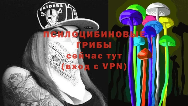 таблы Краснослободск